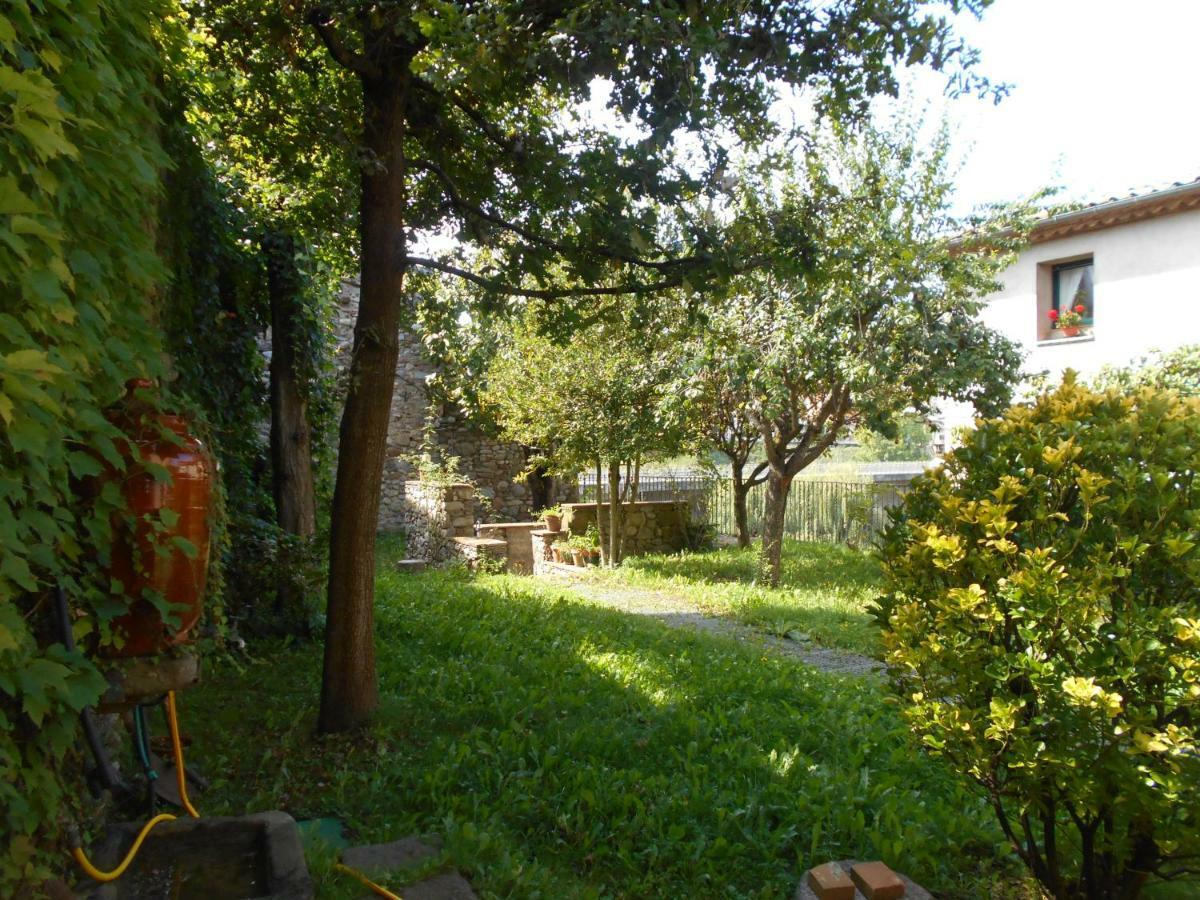 Ca'L Mossen Villa Sant Joan de les Abadesses Kültér fotó